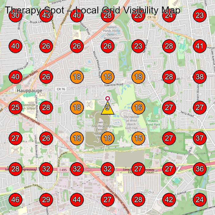 Therapy Spot GeoGrid visibility map for Physical Therapy Clinic in Central Islip